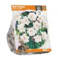 Baltus Narcissus Double Acropolis bloembollen per 5 stuks